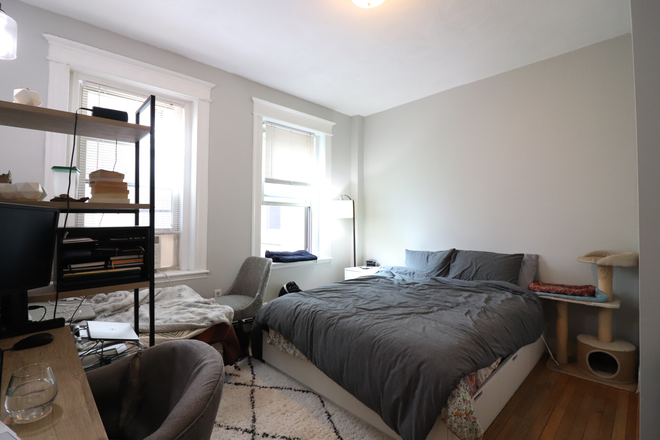 Living Room - Well-Appointed Studio Available 9/1/25! H/HW Included! Laundry in Building!