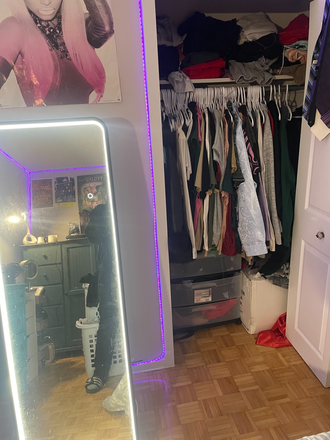 Bedroom - Seeking female roommate from May to end of September Apartments