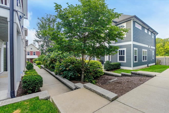 Home faces interior courtyard - 3bed/3bath Home in Salemtown