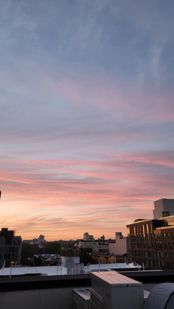 View from rooftop - Spacious shared two-bedroom in Prospect-Lefferts Gardens, Brooklyn Apartments