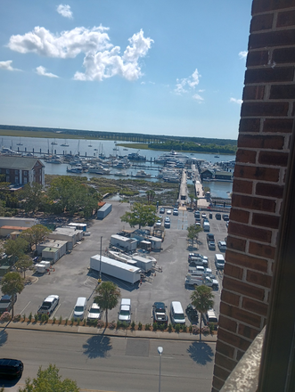View of marina - Roommate wanted - minutes walk to MUSC! Condo