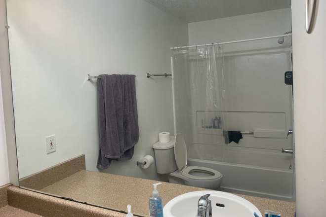 bathroom - Apartment 220 C