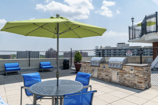 Roof top - Studio for Rent - The Carlyle Apartments