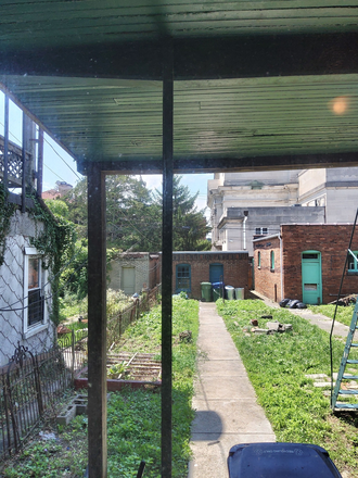 rear yard - All Utilities Included with this Six Bedroom Three Bath Home For Rent