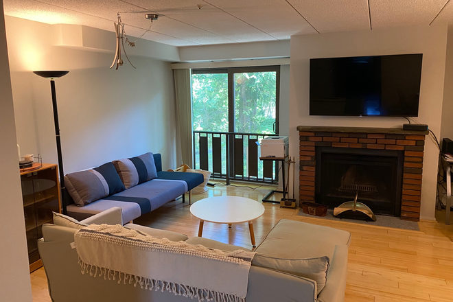 Living Room - 2 BR/2BA Lovely tree lined walk to Harvard Square