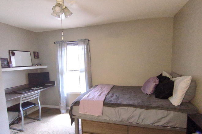 Bedroom Photo 1 - Room Availible to Sublet at The Social, Near USF