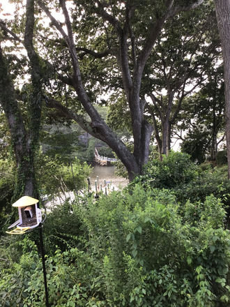 View from yard - Sept 2026 to May 2027 Academic Year  Saltwater front Studio in Narragansett, RI 02882 House