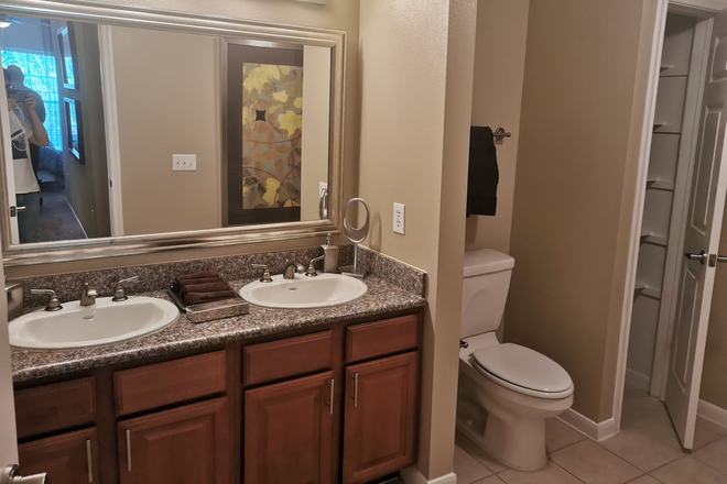 bathroom - Close to campus; Rice shuttle and bus stop nearby; many food options and walgreens around Apartments