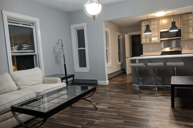 apartment 2 living Room - Fully furnished large bedroom  in newly renovated 4 bedroom 2 bathroom apartment