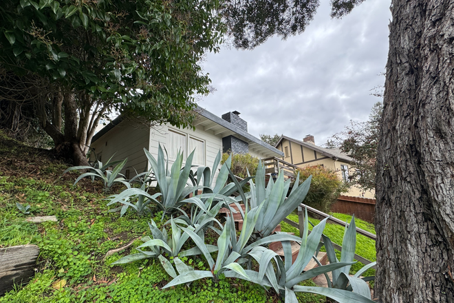 Front yard - Berkeley Home w/ Bay Views