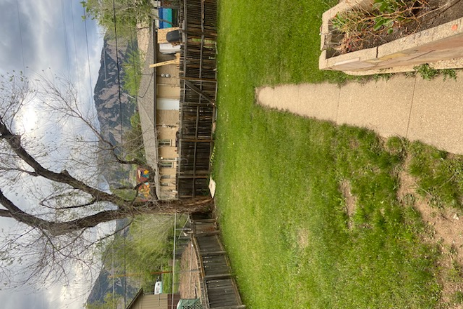 Backyard - Off-campus housing House