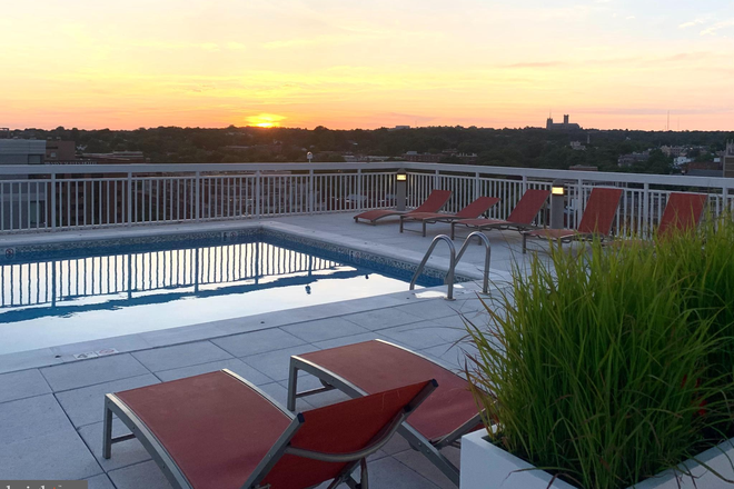 Rooftop pool - Newport Condominium