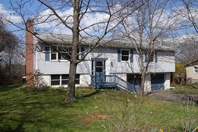 Street view - 4+ Bedrooms/2 Baths - 3.4 miles to UMASS - short walk to bus House