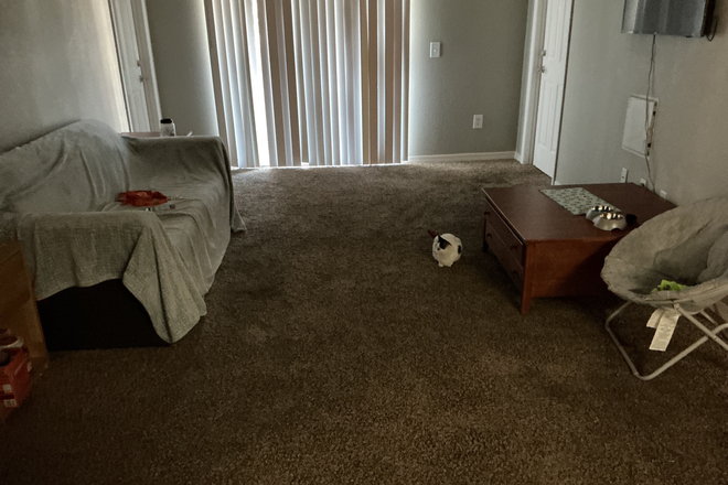 Living Room - The Social- sublease apartment close to campus