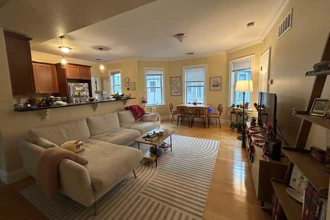 Living room - Sunny Porter Square Summer Sublease! Late May - Early July, close to T and Star Market Apartments
