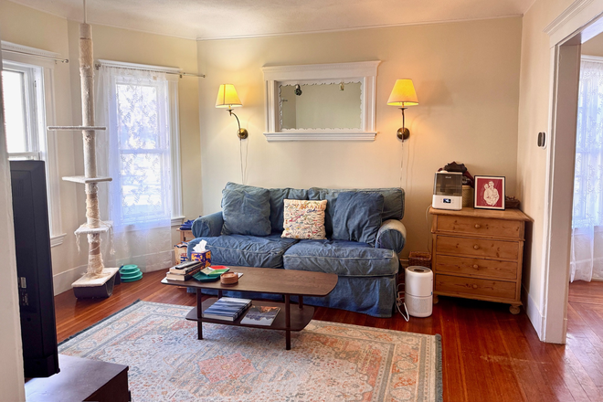 Living room - 99 Kidder Avenue #1 - 3 bed, 1 bath close to Davis Sq Apartments