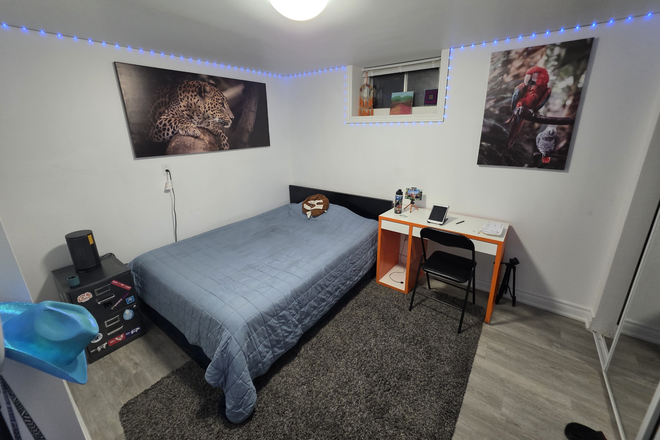 Private Bedroom - (FOR VEGAN) Private room for rent in a shared basement at Morna Avenue