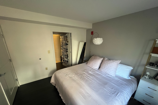 Bedroom with walk-through closet and private bathroom - Private room in 2BR/2BA, quick walk to medical/college campuses, green line (Furnished--optional!) Apartments