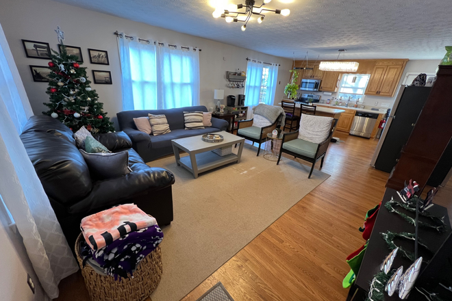 Living Room/Kitchen - 2Bed/2Bath, High Speed Internet Avail., Pet Friendly, Trash & Alarm System Incl., 10mins from campus House