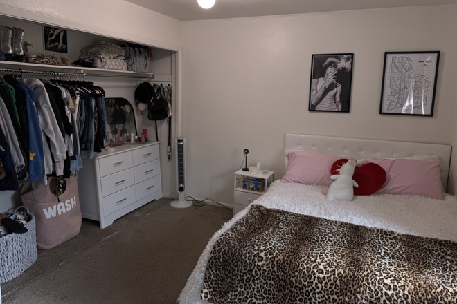 Bedroom 2 - Varsity Apartments