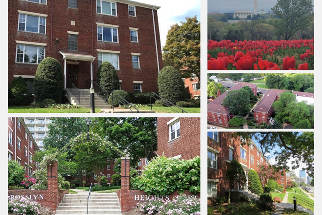 Rosslyn Heights East complex exterior - 1BR Rosslyn Condo with Monument Views, All Utilities & Parking Included