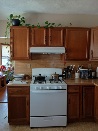Kitchen (Shared) - Single room in Unit 1, 25 Quincy St, 10-15 minute walk from campus Apartments