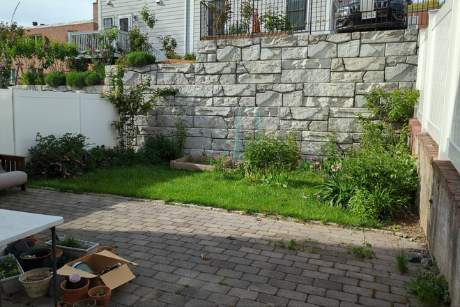 Backyard - Looking for a roommate