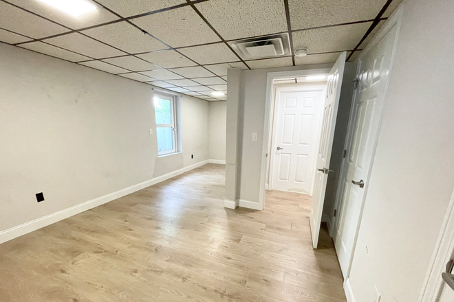 Call NOW for showings! 617-236-8600 - BUTTONWOOD STREET - BEAUTIFUL DORCHESTER 7 BED 2 BATH W/ LAUNDRY IN THE UNIT! *AVAIL 9/01/2025* Apartments