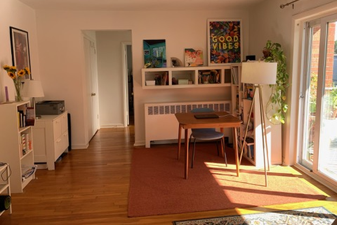 Living room - 1BR in NE DC: Balcony, Washer & Dryer, Parking