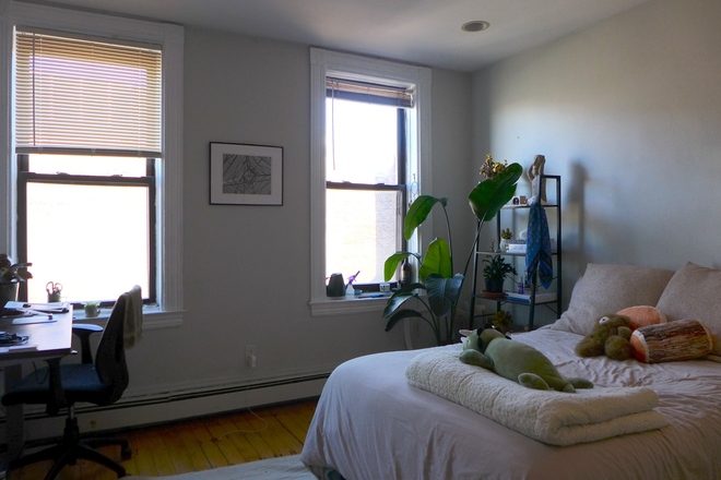 bostonrealtyonline.com - Massive Sun-drenched Bottom of the Hill Four Bed