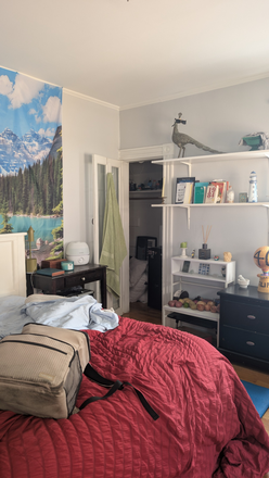 Large Bedroom 1 - Harvard Business School Location ~  Only 2 Large Rooms Remaining ~ $1100 and $1175 Townhome
