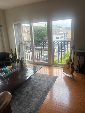 living room - 1BR apt-Spring St-Princeton