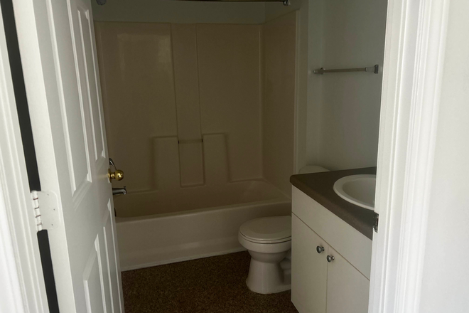 Bathroom - Courtyards at UMD - 1 bed 1 bath mixed gender Apartments