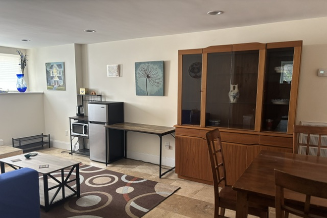 Living area and Kitchenette - Furnished one-bedroom in Somerville Condo