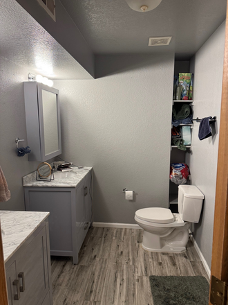 Bathroom - 2853 Springdale Ln 1BD 1.5BR, Close to Campus, safe and walkable area Condo