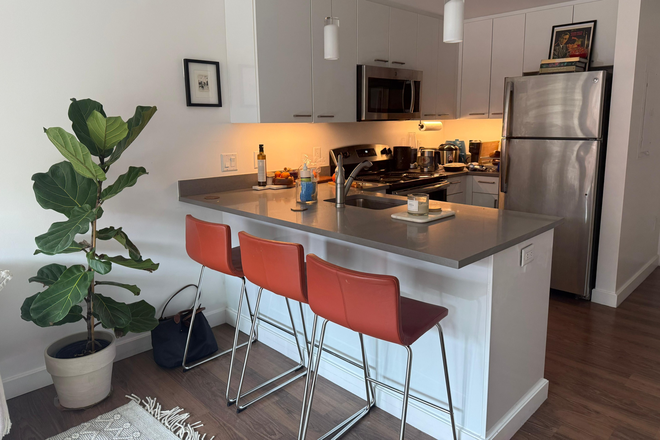 Kitchen - Soldiers Field Park Modern 3b Furnished Apartment