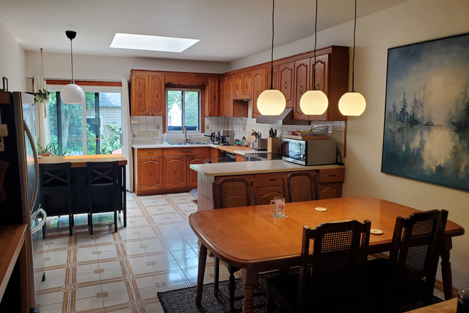 Kitchen - 1 Furnished Bedroom in Junction House with Laundry, Backyard, close to TTC