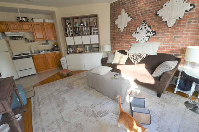 Living room - NO BROKER FEE - Beautiful and Cozy 1Bed 1BA on Marlborough St!! - Avail 9/1/25 Apartments