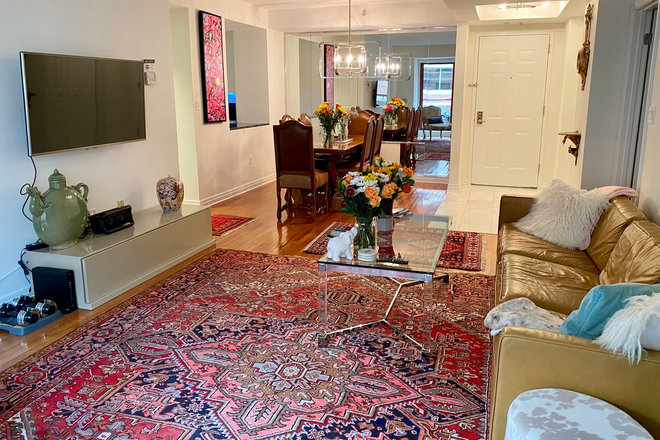 Living room, fully furnished. Television with netflix. - Female roommate wanted - Chic West End Condo