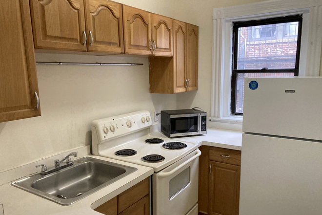 . - Bright Spacious 4 BR on Haviland St Avail 9/1 Apartments