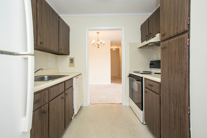 kitchen - 3Bedroom /2 bathroom First-Floor Apartment at Ivy Gardens – 1st of December Move-In