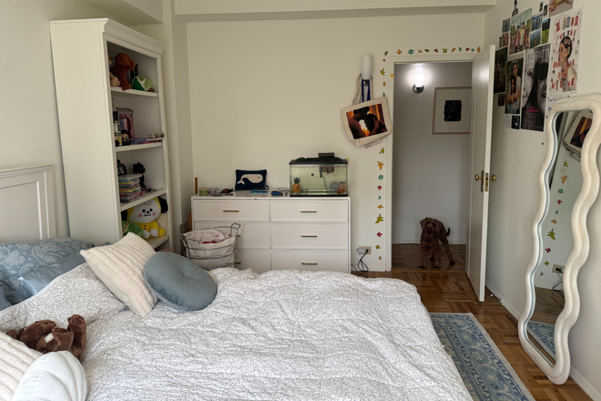 second bedroom - Large Two Bedroom Apartment in Peter Cooper Village