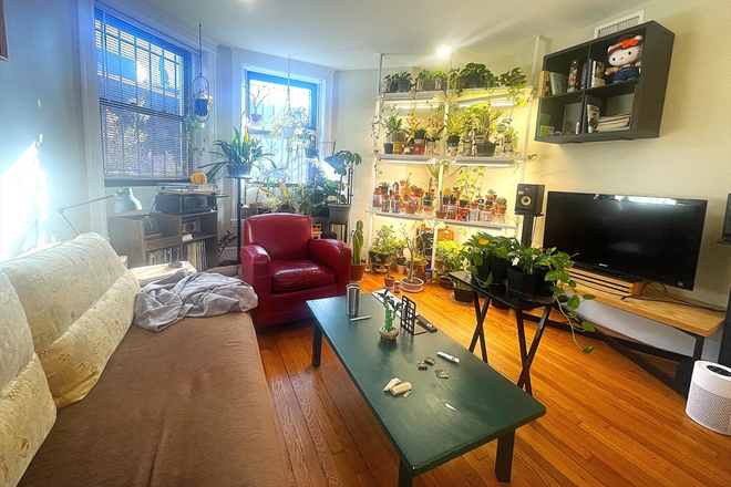 living - LOCATION!! SPACIOUS 5 BED WITH IN-UNIT LAUNDRY!! AVAIL 9/1/26!! Apartments