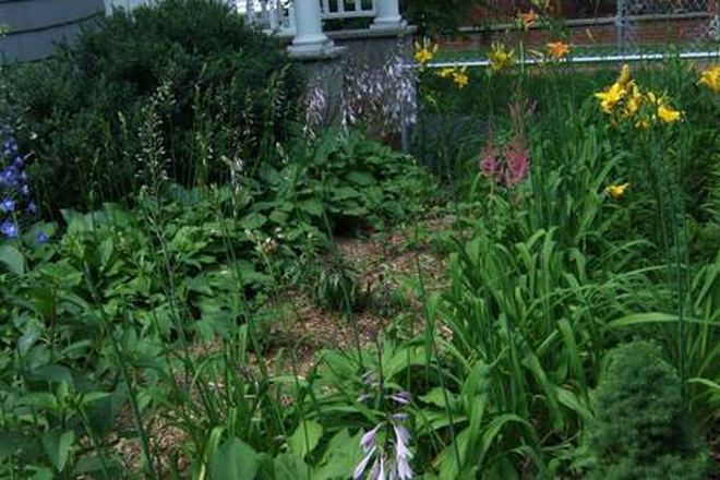 Front Yard - Great bedroom in house - MIT, Harvard, Central, Kendal, Inman, Union, Whole Foods, Red Line