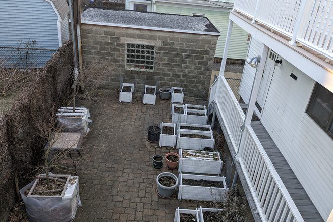 Yard - 2 bedroom + office close to Powder House, Teele, Ball, and Davis Squares