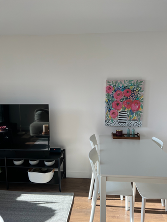 Living Room - Soldiers Field Park - 1 Bedroom Apartment