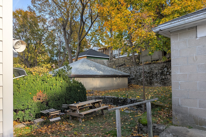 Backyard - Available room in a 4-bed, 2-bath apartment, walking distance to shops, restaurants, B and C lines