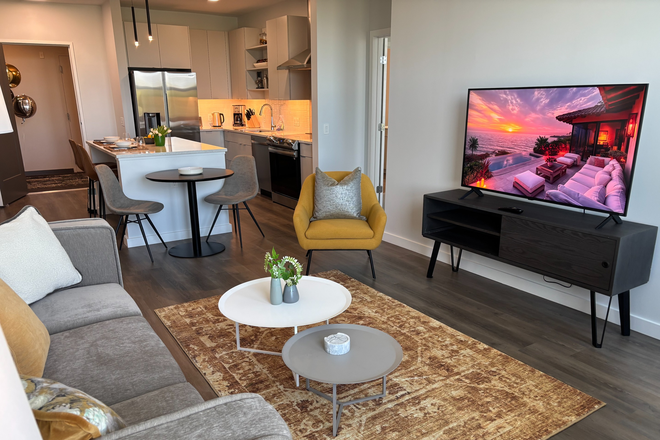 Ready To Move In - Fully Furnished One Bedroom Apartment with all building amenities - 305 Winter Street