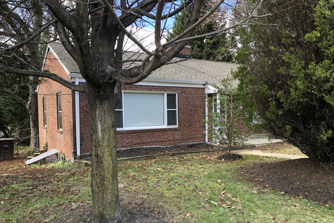 Outside street view - Kitty corner from N Campus Dr (walking distance) House