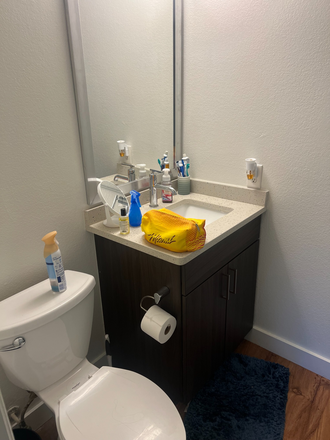 Private Bathroom - University Club Apartments